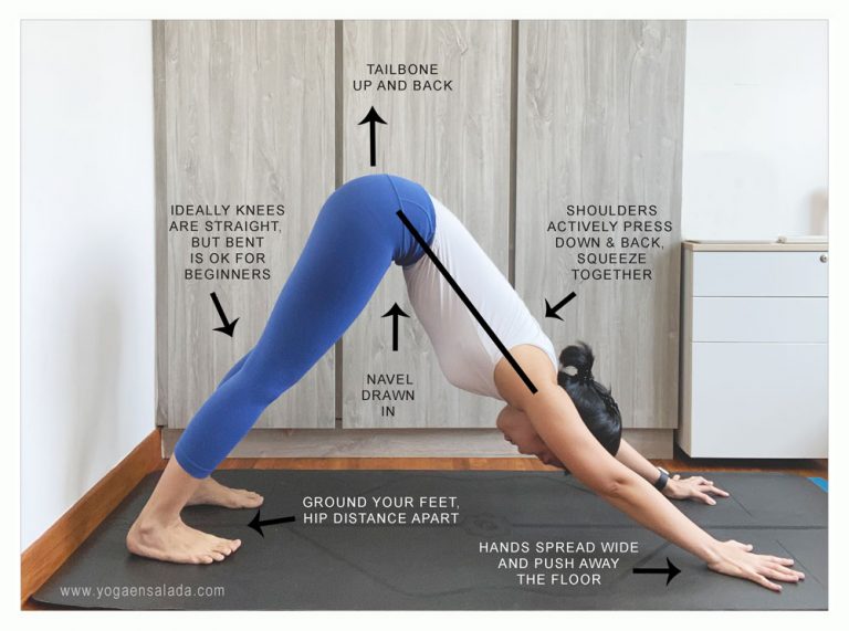 Downward Facing Dog yogaensalada